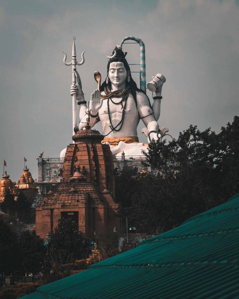 pexels-roopsarkar-11354923