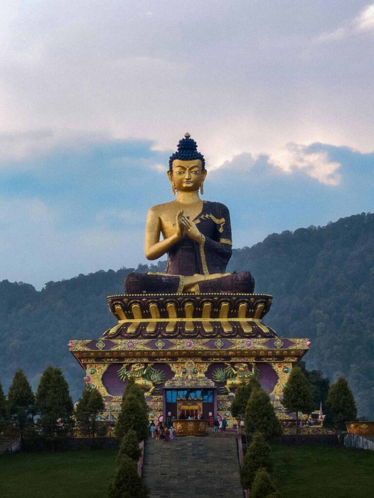 pexels-subhrajyoti-paul-447200412-33262249