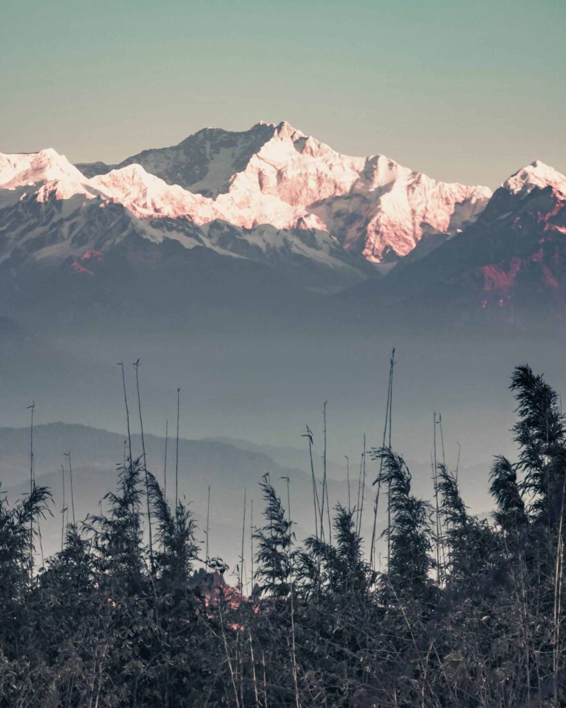 pexels-vinayak-khithani-2408962